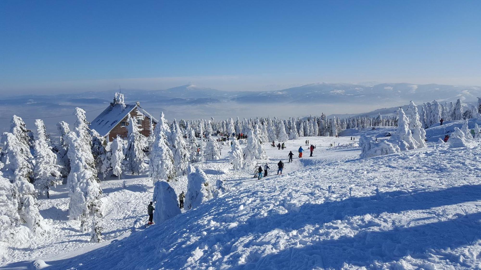 Chaty Pod Beskidkiem Szczyrk Bagian luar foto
